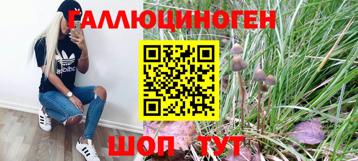 Псилоцибиновые грибы Psilocybine cubensis  Псилоцибиновые грибы Cubensis  Вход с VPN  Москва 